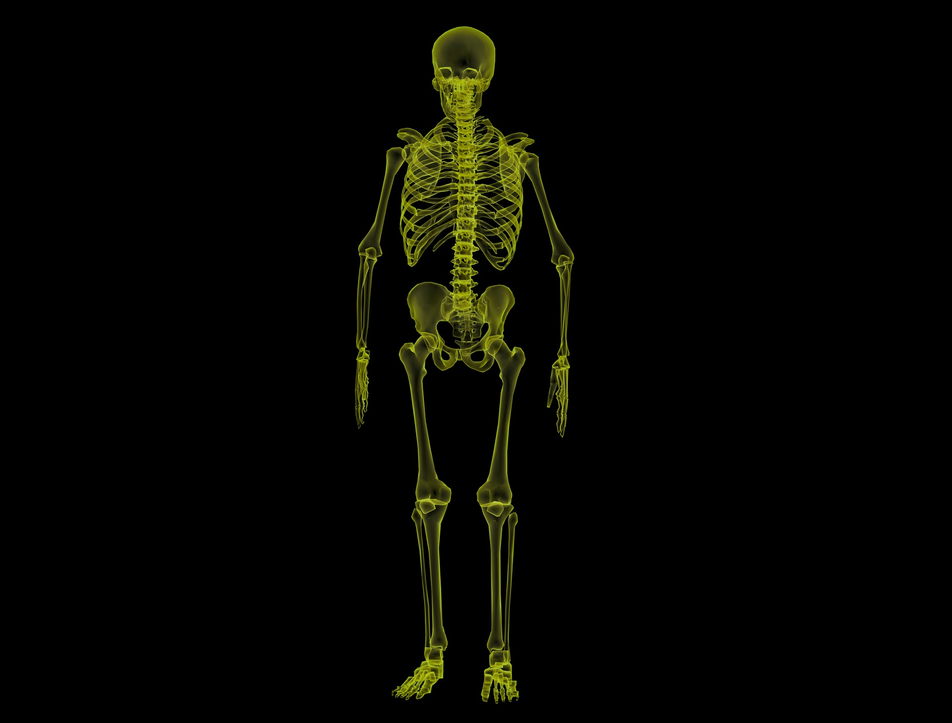 human-skeleton-1813086_1920